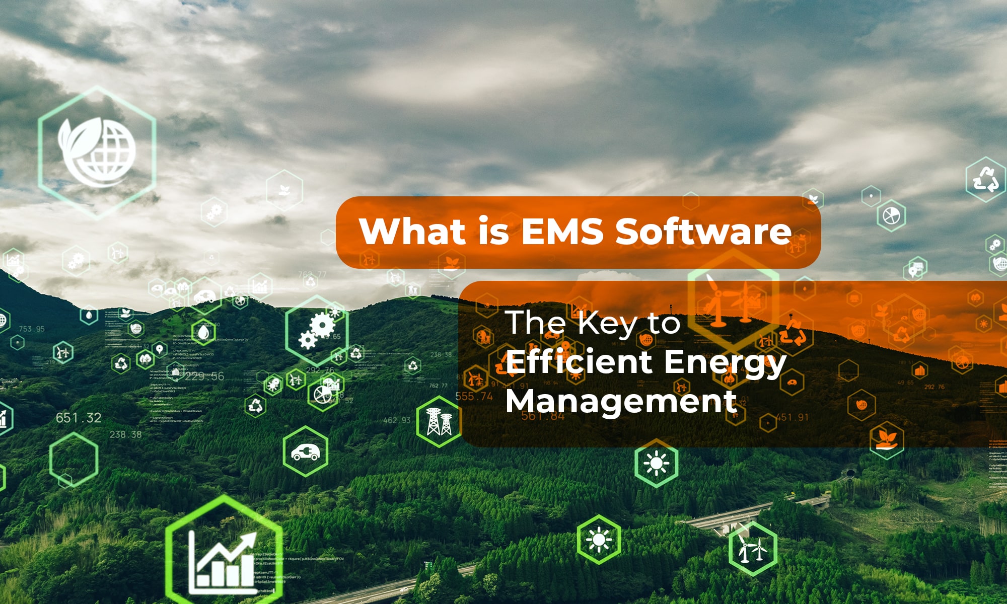 what is ems software
